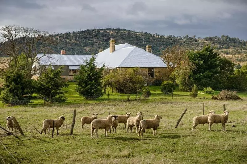 Aamiaismajoitus (B&B) Shearers  Quarters Rathmore