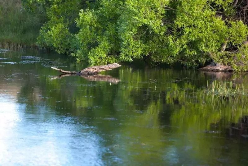 Aamiaismajoitus (B&B) Shearers  Quarters Rathmore