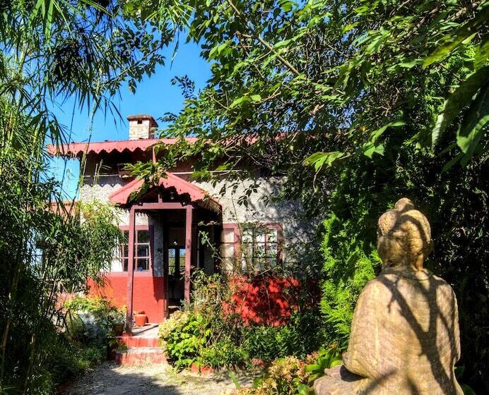 Hotel Jungle Lore Birding Lodge