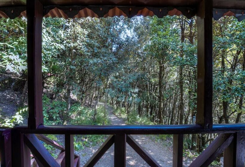 Hotel Jungle Lore Birding Lodge