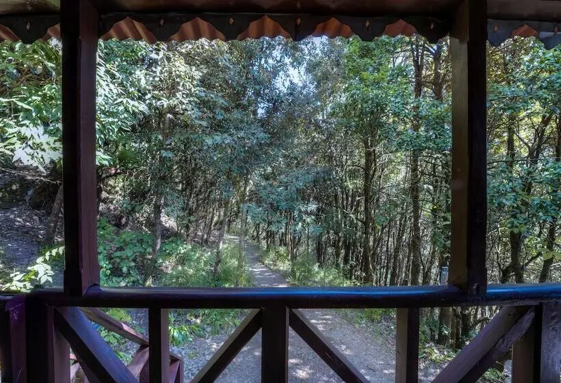 Hotelli Jungle Lore Birding Lodge