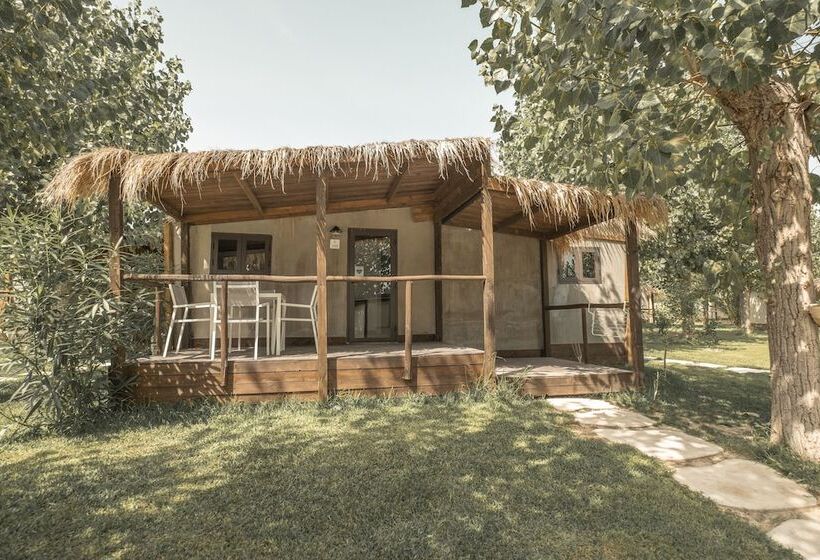 Отель Riva Del Sol Beach Resort   Campsite