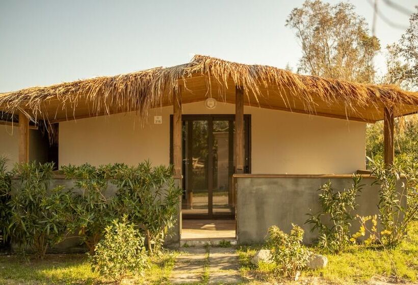 Отель Riva Del Sol Beach Resort   Campsite