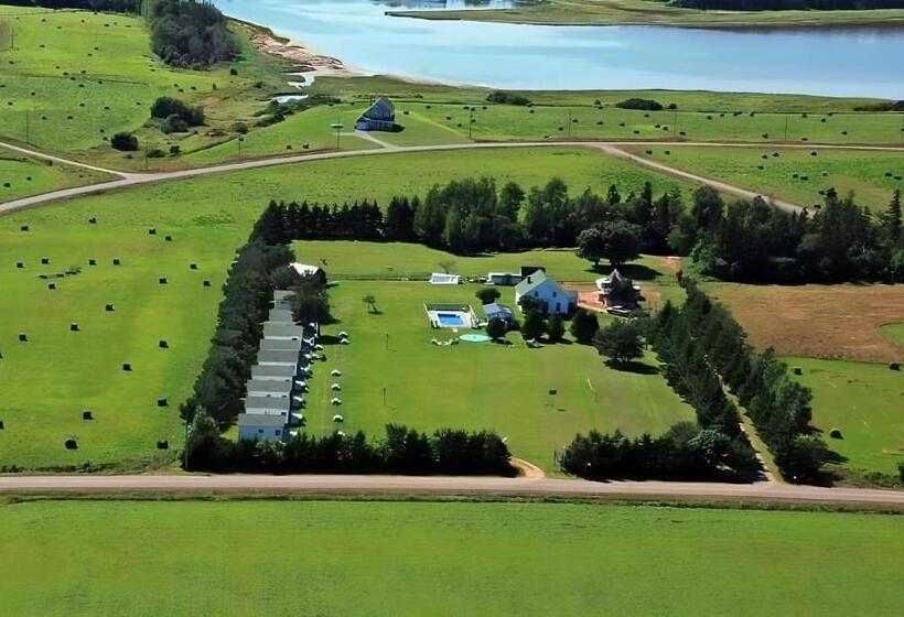 Island Life Cottages