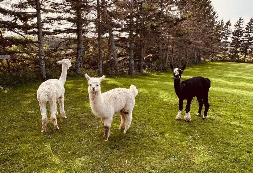 Island Life Cottages