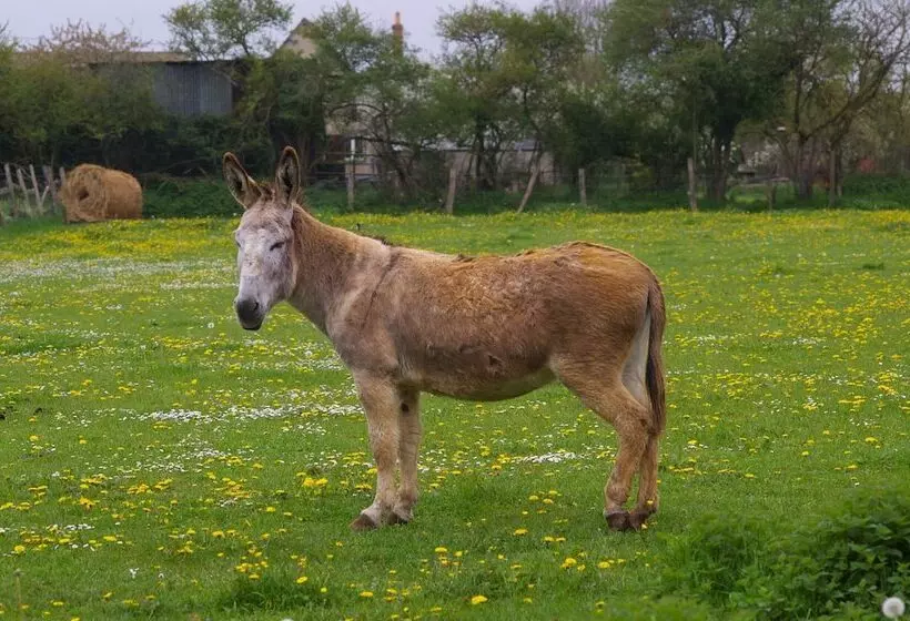 Majatalo La Ferme Chauvet