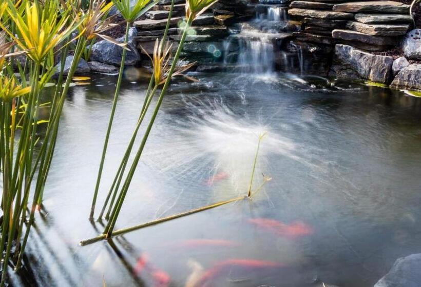 膳宿费 Les Hortensias