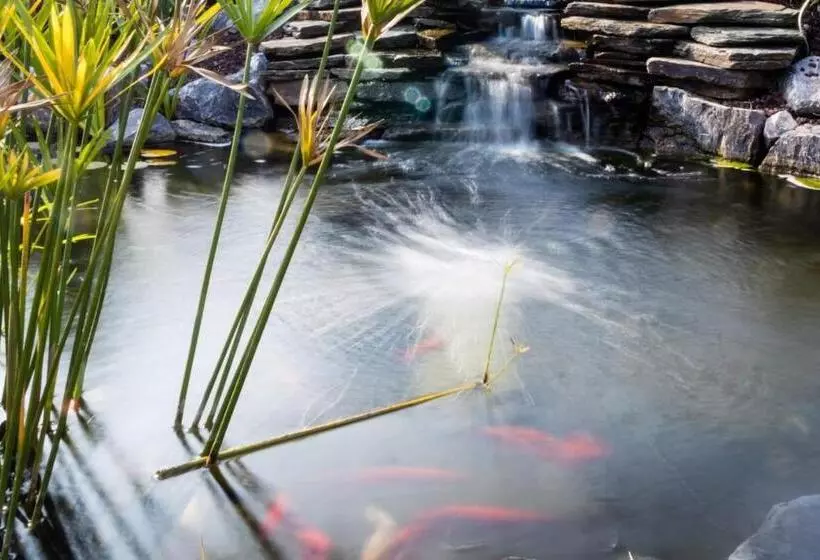 Majatalo Les Hortensias
