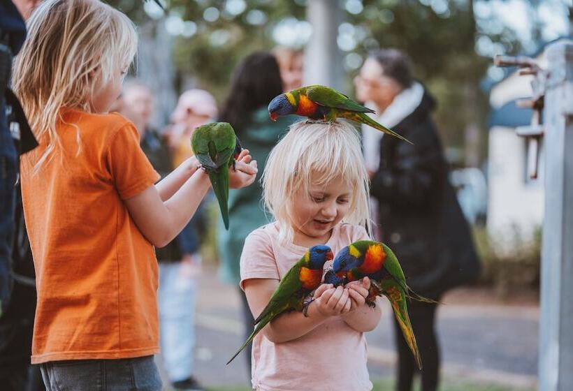 אתר נופש Big4 Breeze Holiday Parks Cania Gorge