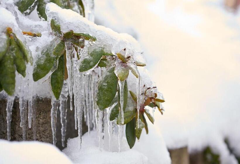 Tannmühle Hotel Und Restaurant Gmbh