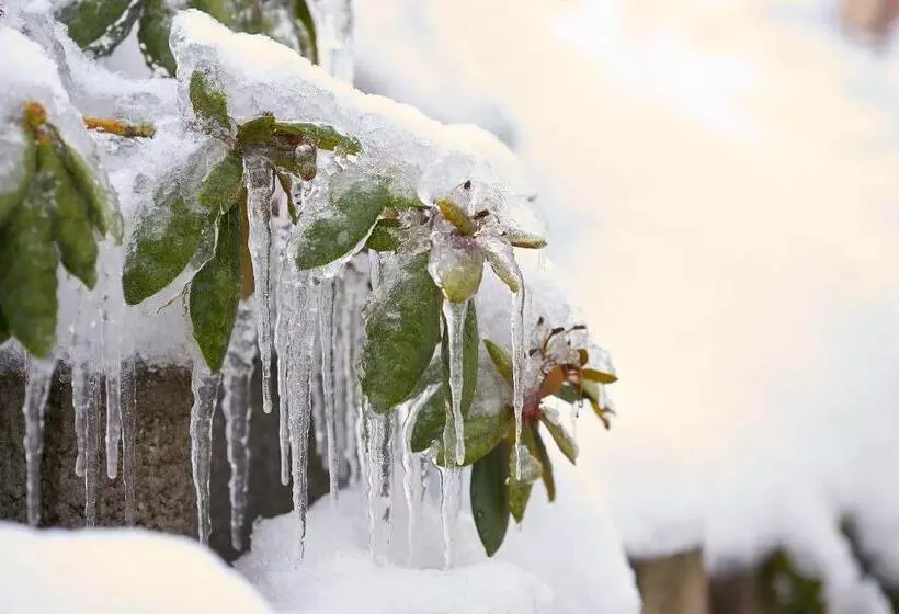 Tannmühle Hotel Und Restaurant Gmbh