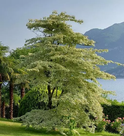 ベッドアンドブレックファースト Villa Ucci