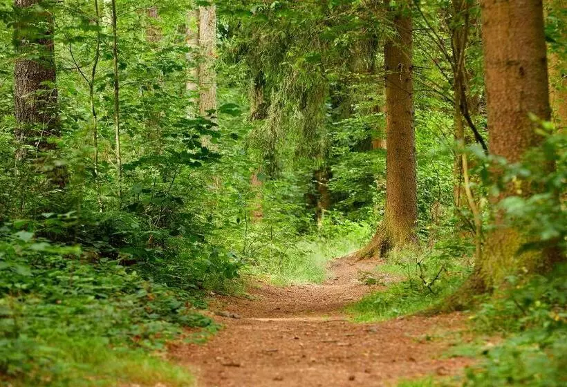 Tannmühle Hotel Und Restaurant Gmbh