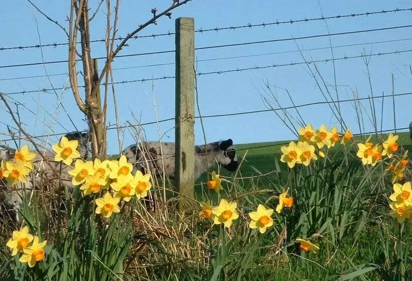Attractive Cottage In Garden Grounds