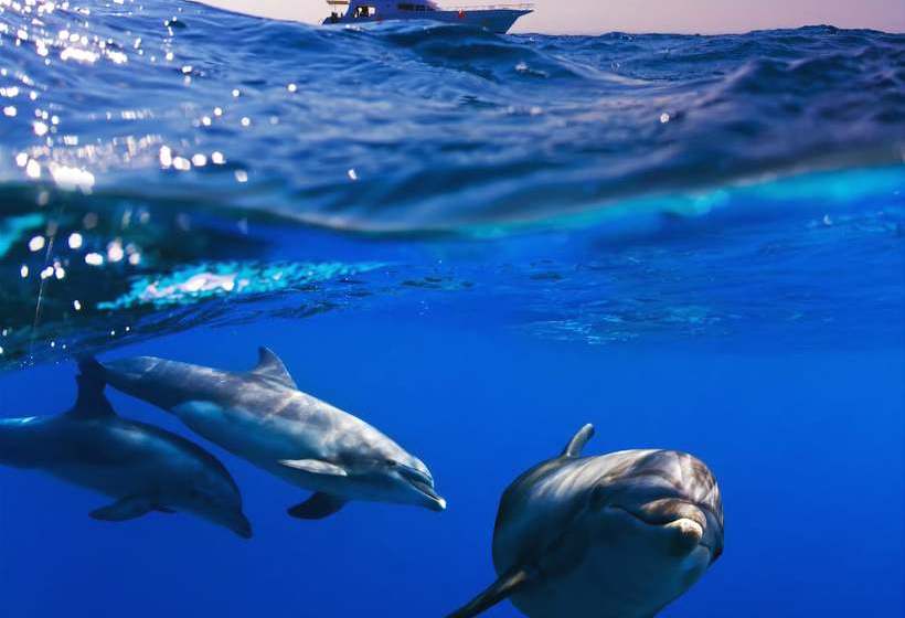 Casa Rural San Francisco