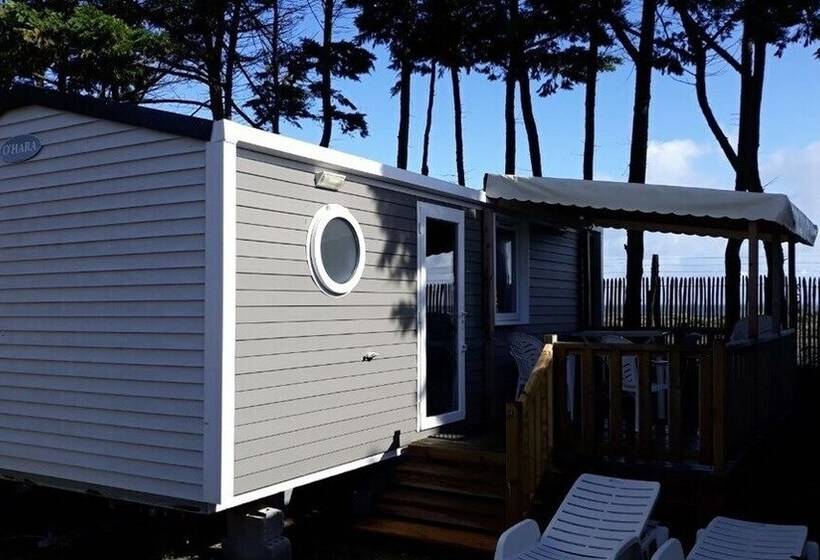 Hotell Tourne Pied à Collier