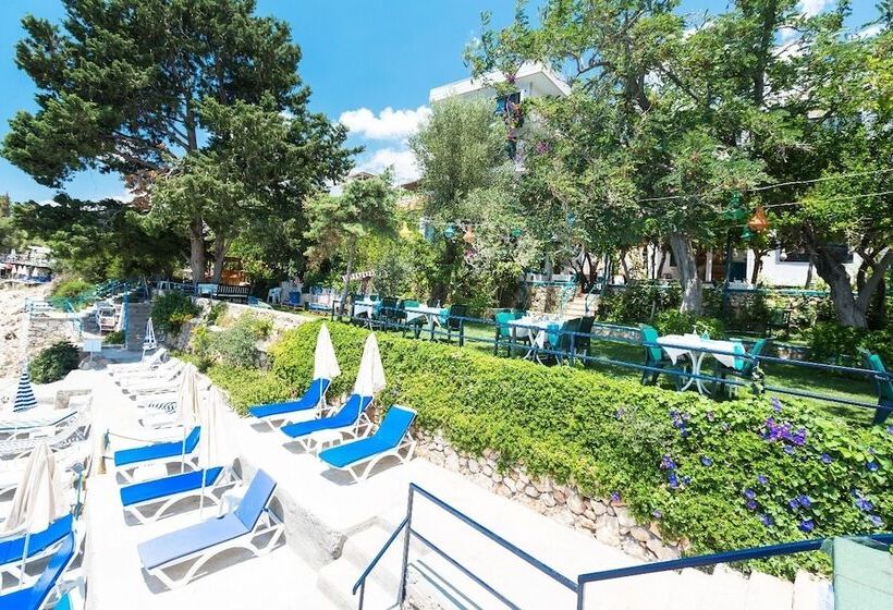 Sardunya Andifli Otel