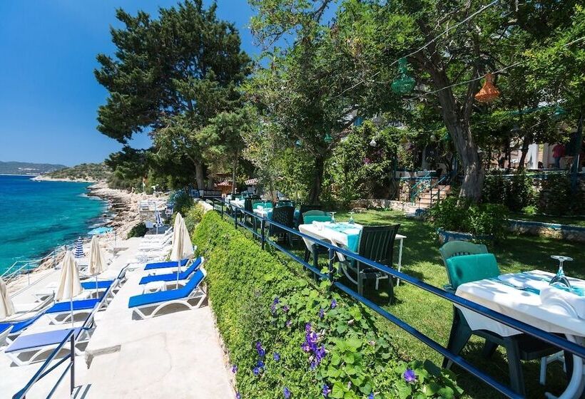 Sardunya Andifli Otel