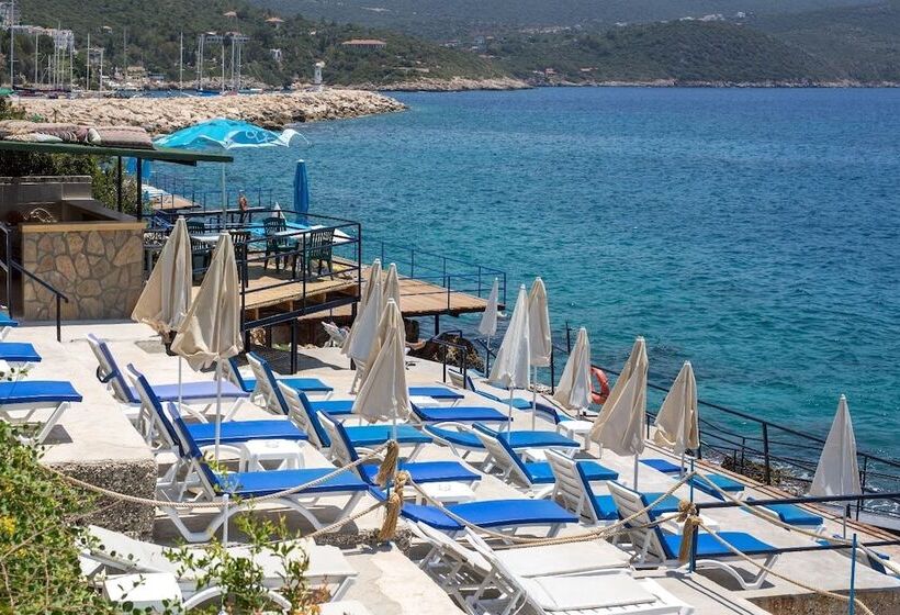 Sardunya Andifli Otel