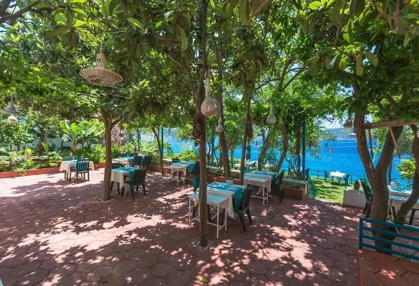 Sardunya Andifli Otel