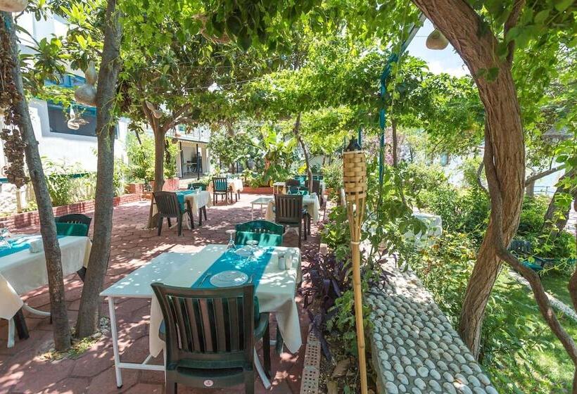 Sardunya Andifli Otel