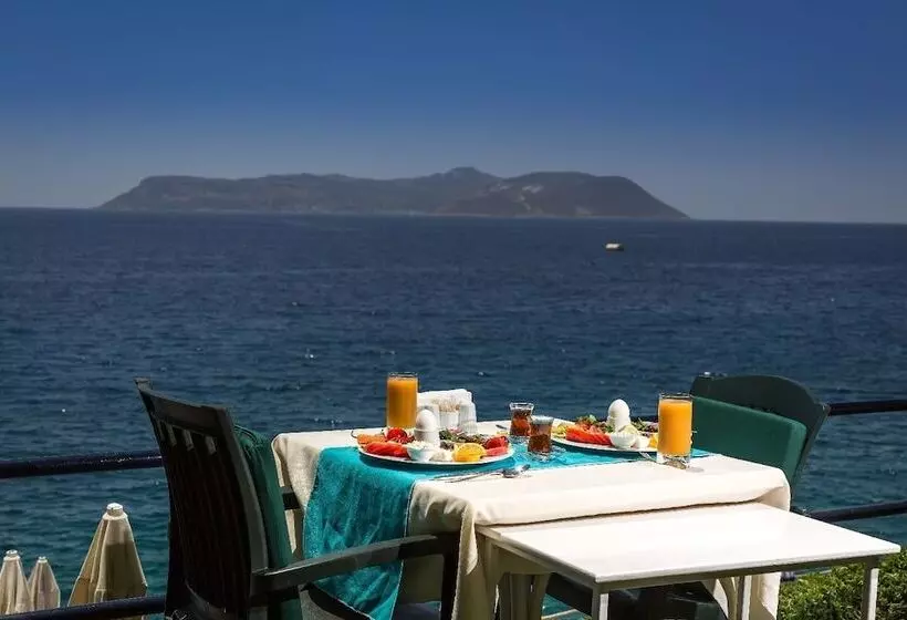 Sardunya Andifli Otel