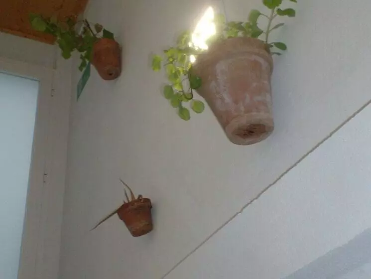 Retkeilymaja Rocio Rooms