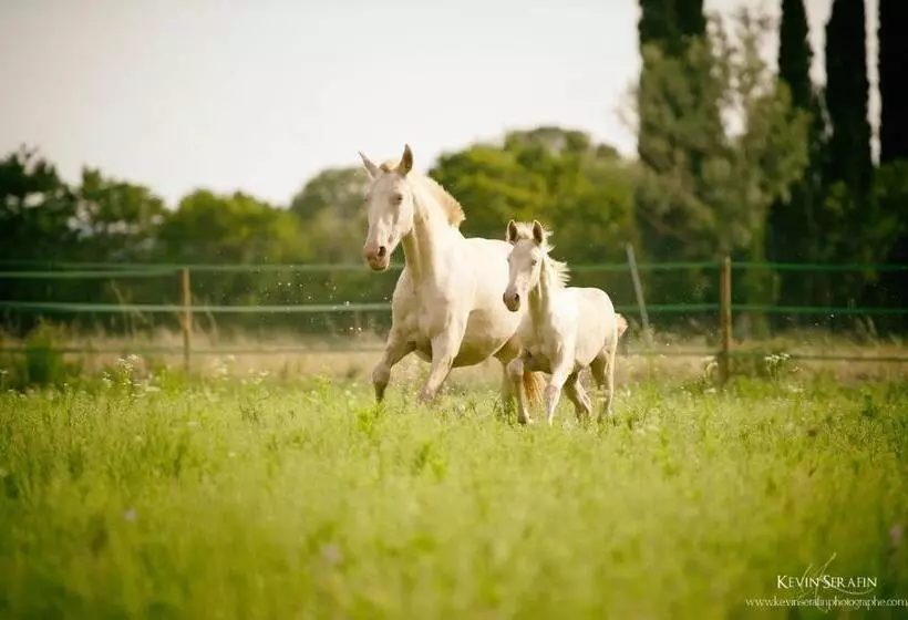 Aamiaismajoitus (B&B) Domaine Cap Rubis