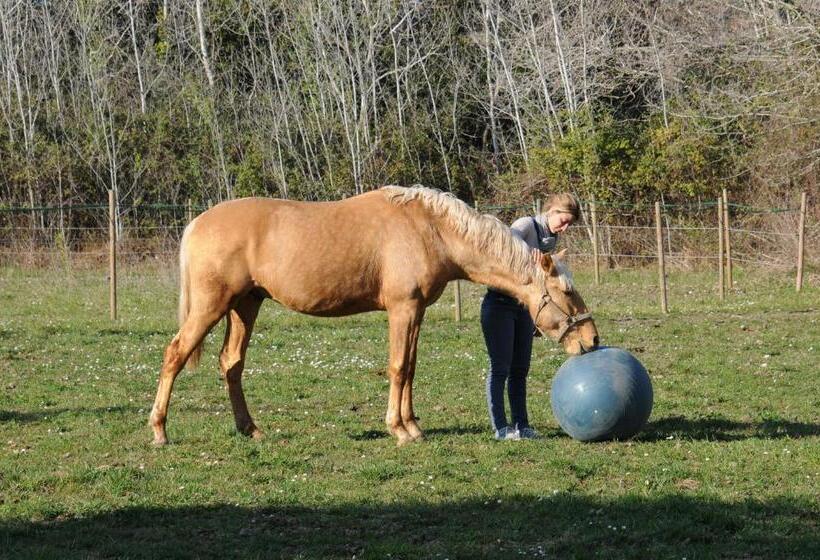 住宿加早餐  Domaine Cap Rubis