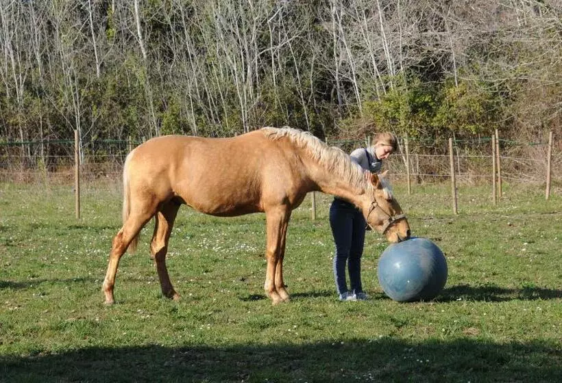 Aamiaismajoitus (B&B) Domaine Cap Rubis