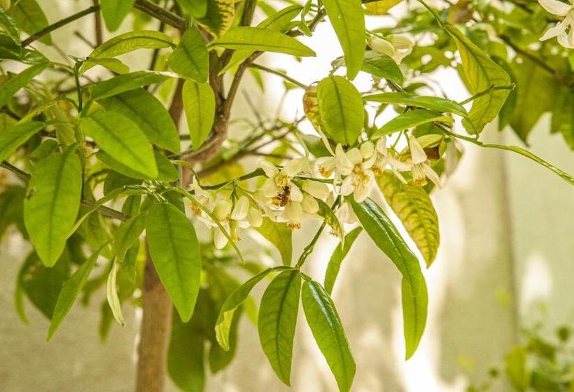 住宿加早餐  Domaine Cap Rubis