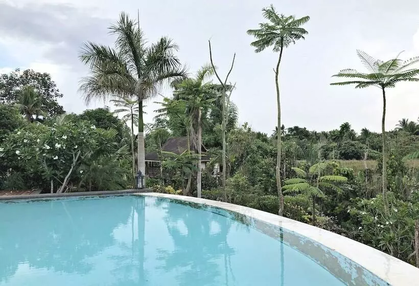 Hotelli Overlooking Lagoon At Sitio De Amor