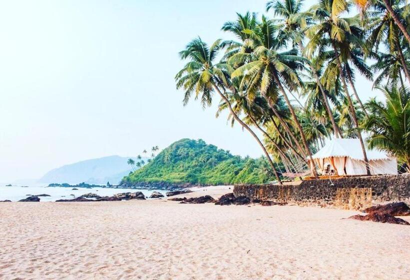 منتجع Soneca Cola