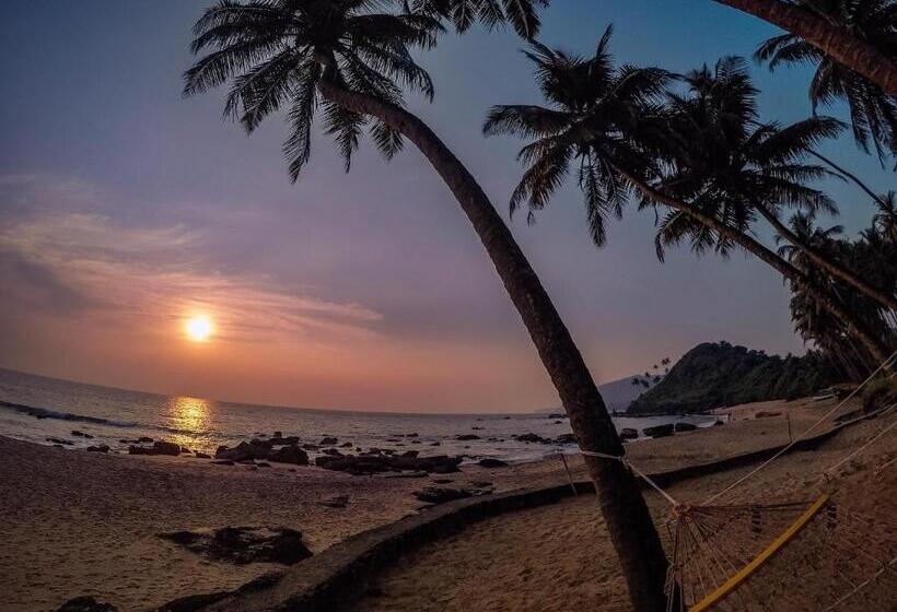 منتجع Soneca Cola