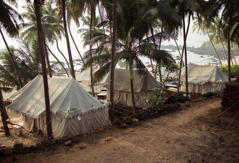 منتجع Soneca Cola