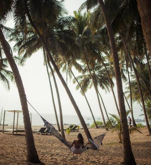 منتجع Soneca Cola