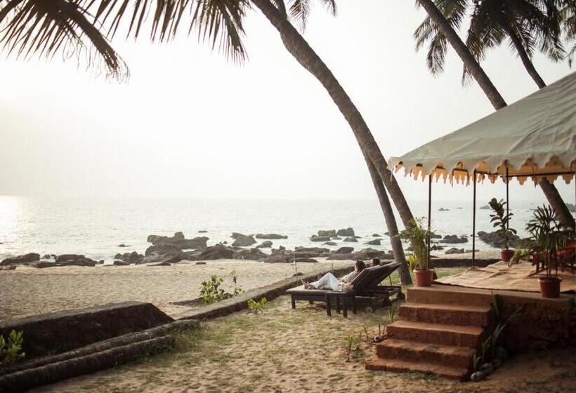 منتجع Soneca Cola