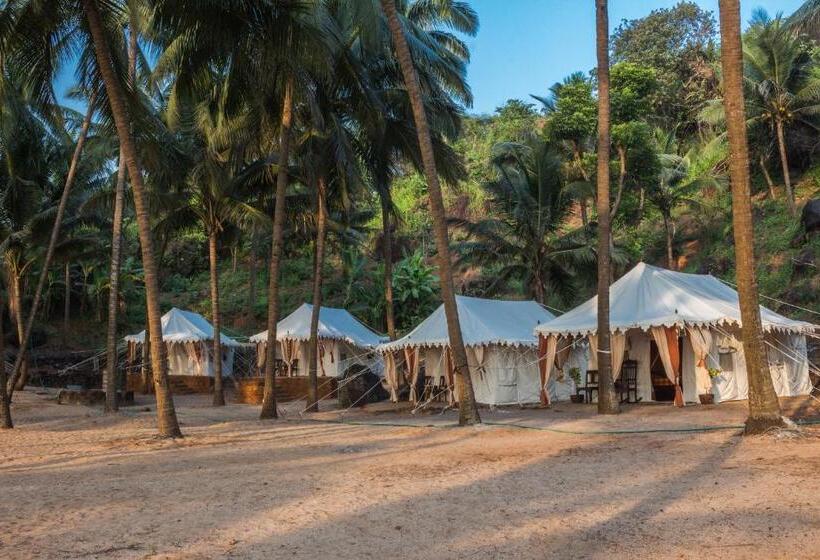 منتجع Soneca Cola