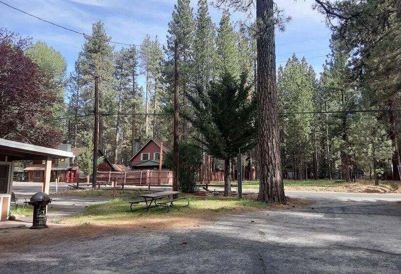 Grey Squirrel Resort