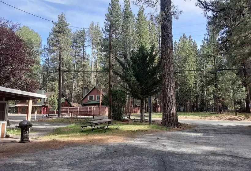 Grey Squirrel Resort