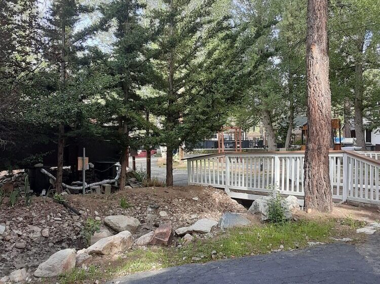 Grey Squirrel Resort