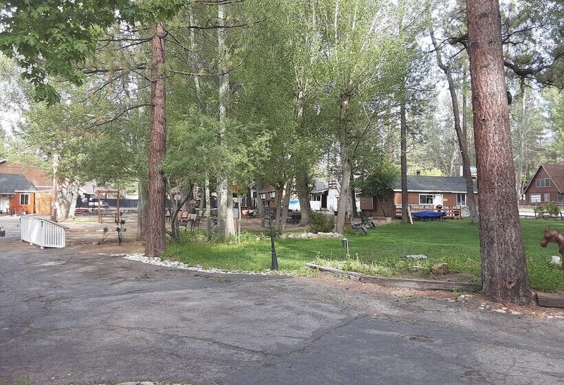 Grey Squirrel Resort