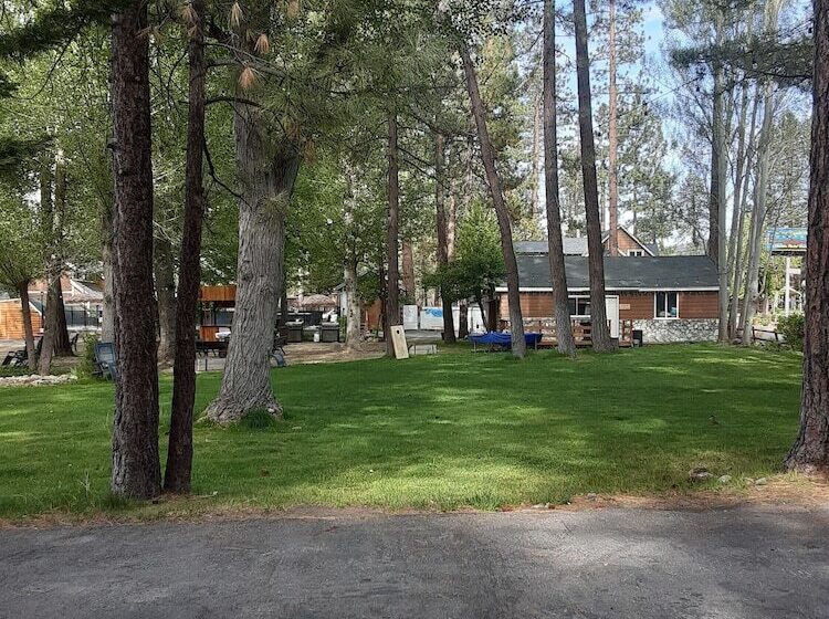 Grey Squirrel Resort