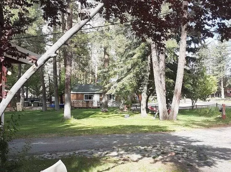 Grey Squirrel Resort