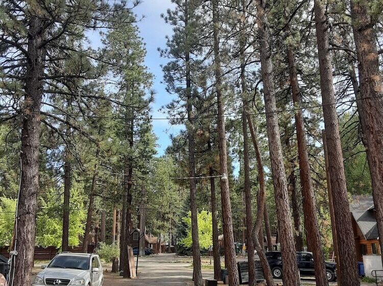 Grey Squirrel Resort