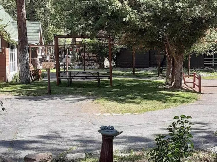 Grey Squirrel Resort