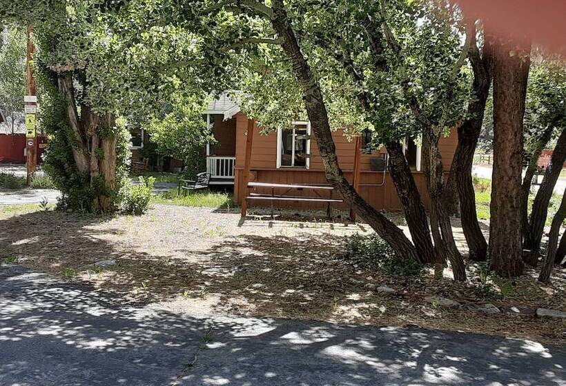 Grey Squirrel Resort