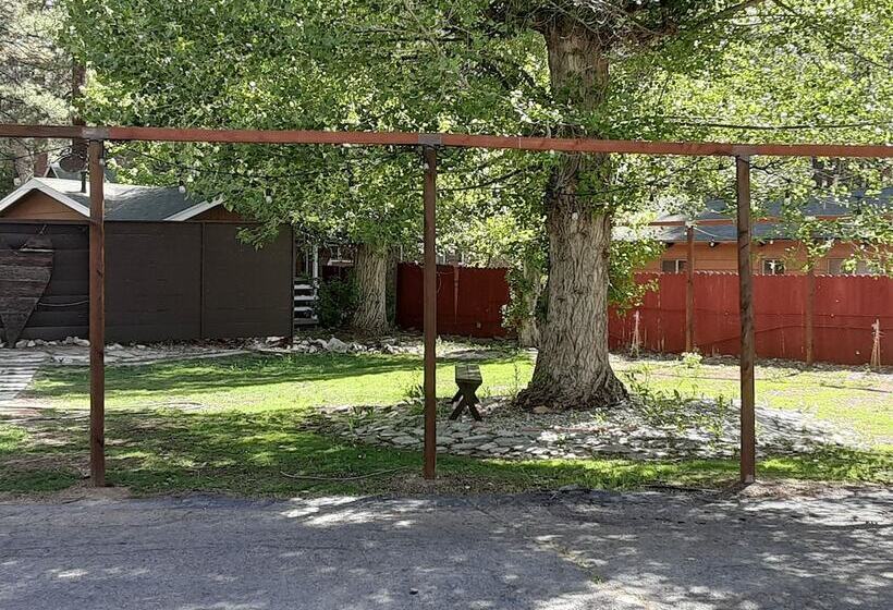 Grey Squirrel Resort