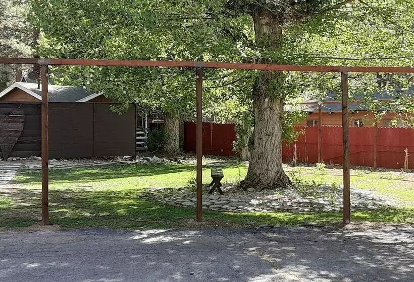 Grey Squirrel Resort