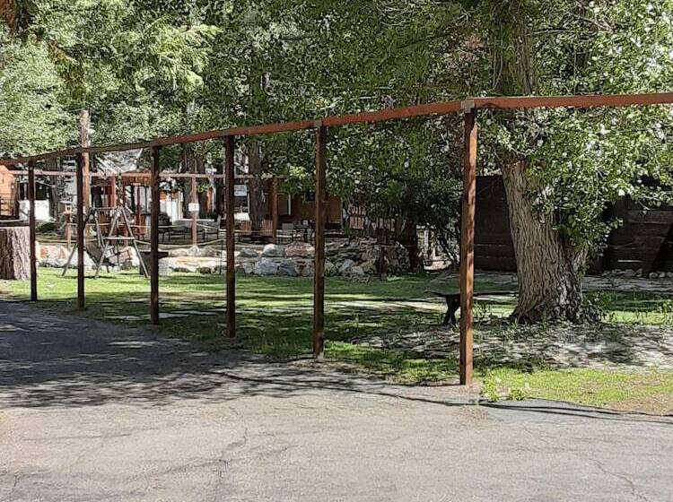 Grey Squirrel Resort